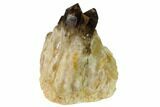 Smoky Citrine Crystal Cluster - Lwena, Congo #128418-4